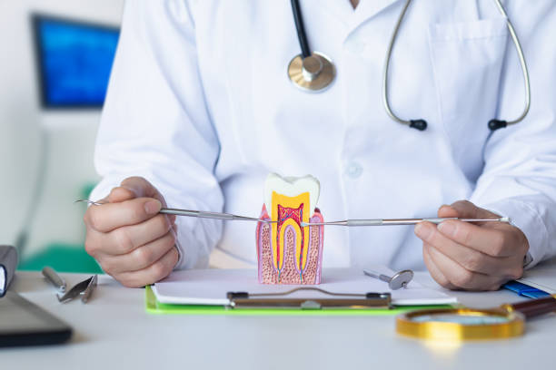 Best Emergency Dental Care for Trauma or Injury in Sanford, CO